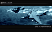 harrier_blue thumbnail